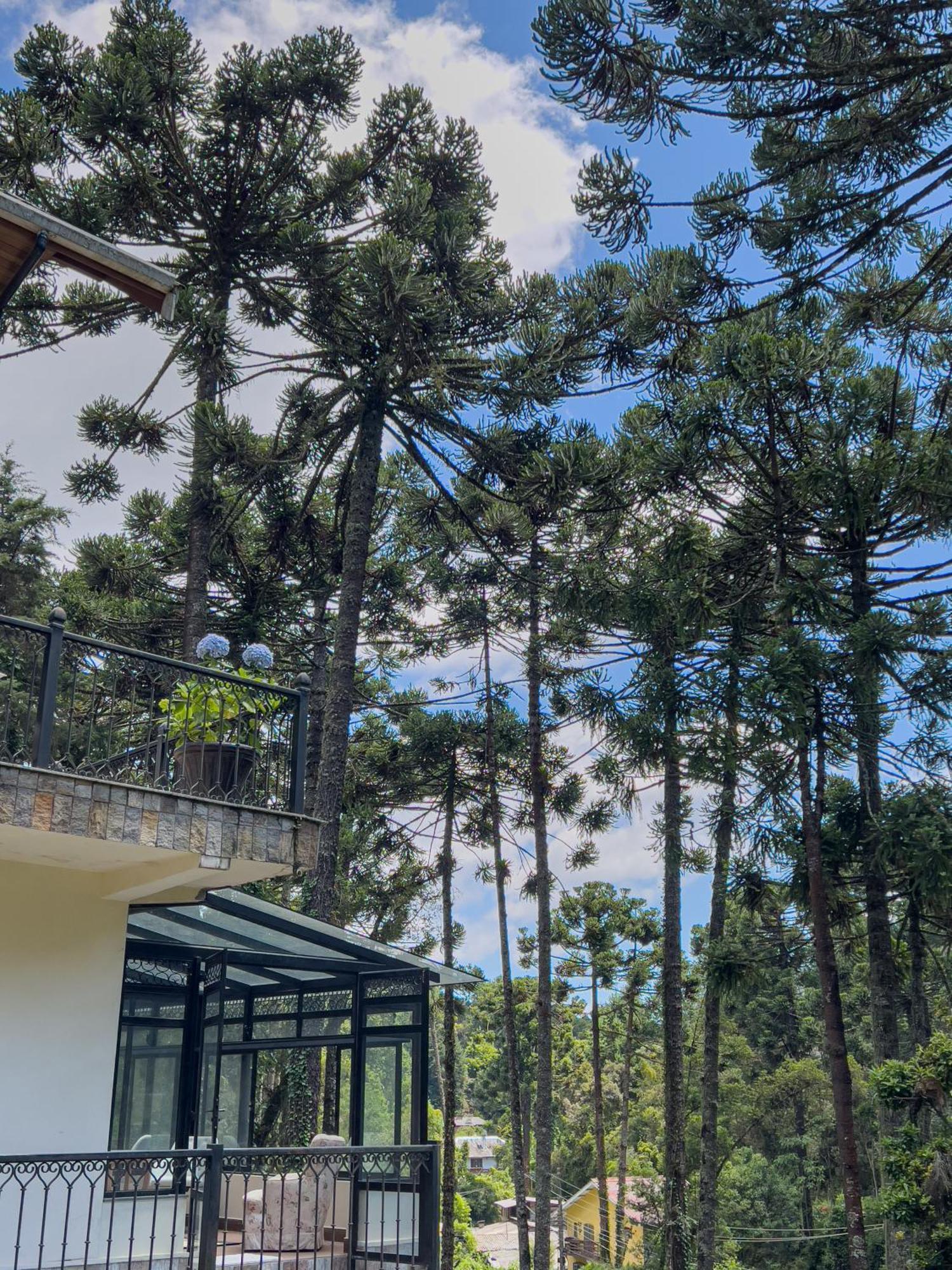 Recanto Do Pepe Ξενοδοχείο Campos do Jordão Εξωτερικό φωτογραφία